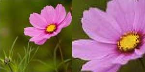 1574062202164838.jpg 只需一部攝像機(jī)即可進(jìn)行動(dòng)態(tài)實(shí)時(shí)流式傳輸5.jpg